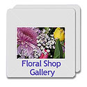 Floral Shop