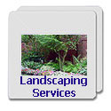 Landscaping Services